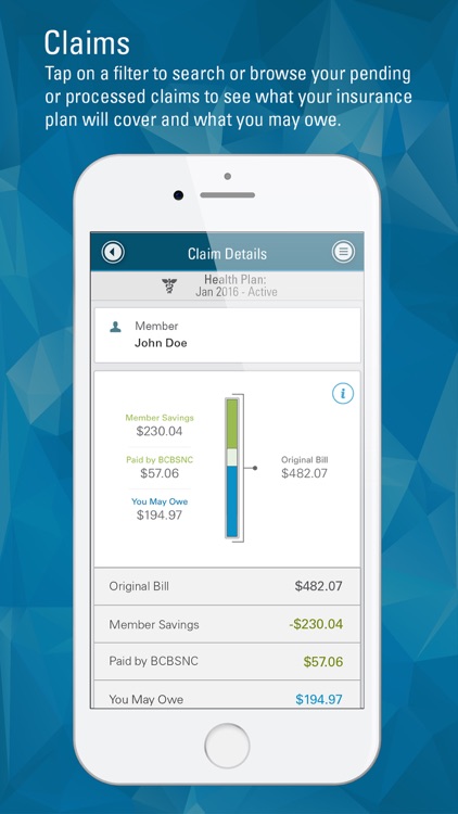 Blue Connect Mobile NC screenshot-3
