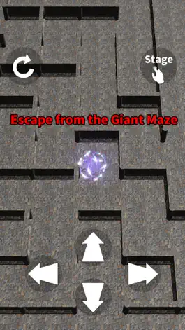 Game screenshot Giant Maze 100 Levels apk