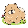 Chubby Chow Chow Dog Sticker