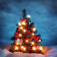 Real Snow - Live Wallpaper pour PC