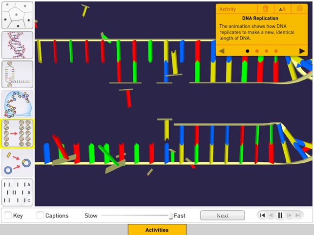 DNA from Sunflower Learning(圖9)-速報App