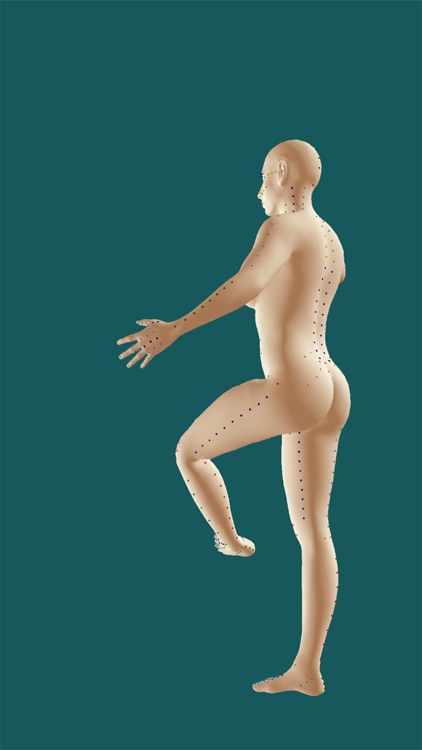 Shiatsu Points 3D Map