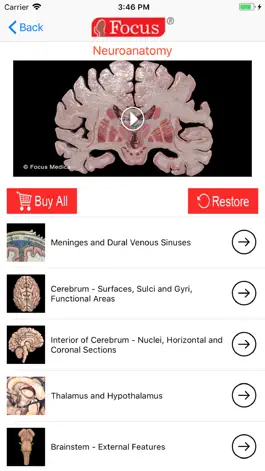 Game screenshot NEUROANATOMY - Digital Anatomy apk