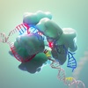 CRISPR-Cas9