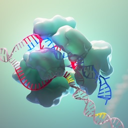 CRISPR-Cas9