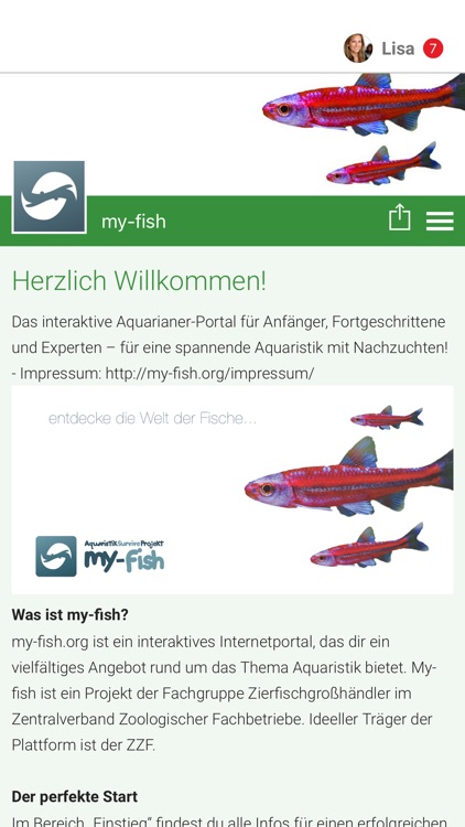 my-fish