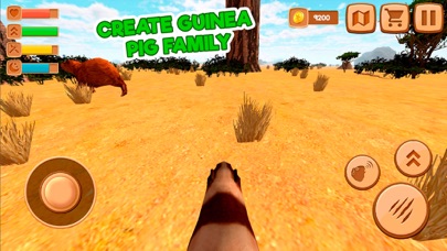 Guinea Pig In Forest screenshot 2