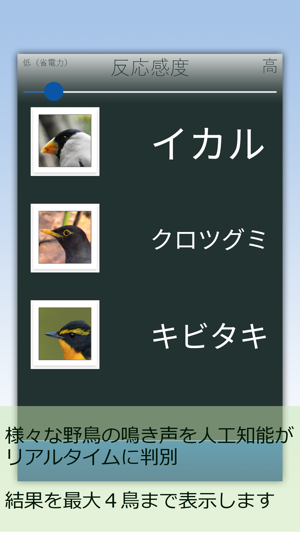 BIRD RADAR(圖2)-速報App