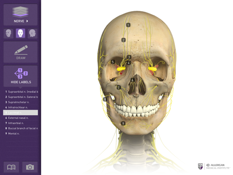 Interactive Anatomy - BG screenshot 4