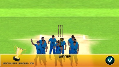 Ison Cricket 17 screenshot 4