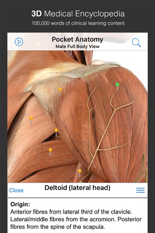 Pocket Anatomy. screenshot 3