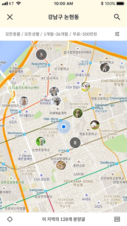 바닐라펫 - 세상의 모든 반려동물 분양 정보