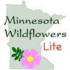 Minnesota Wildflowers Lite