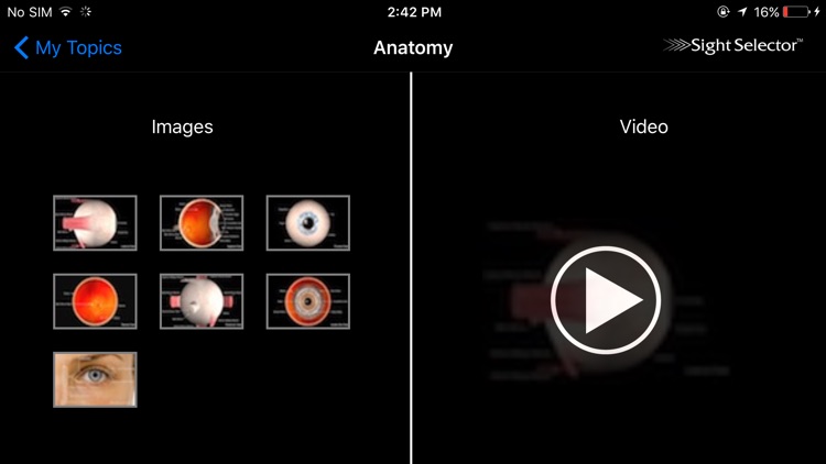 Sight Selector Lite