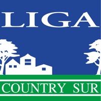 Liga Country Sur PC 용