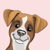 Джек Рассел - милая собачка