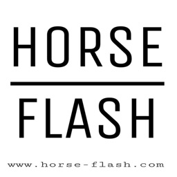 Horse Flash