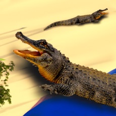 Activities of Crocodile Simulator Attack 3D