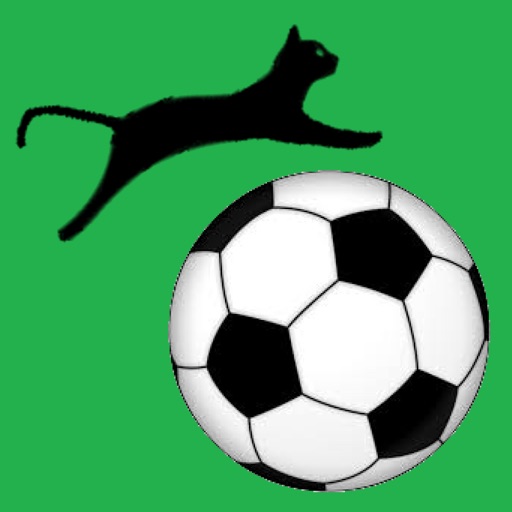 Goal Keep by FlyingLolo