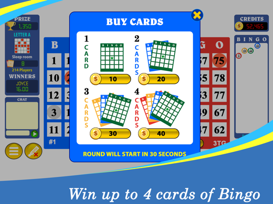 Bingo Classic™ screenshot 4