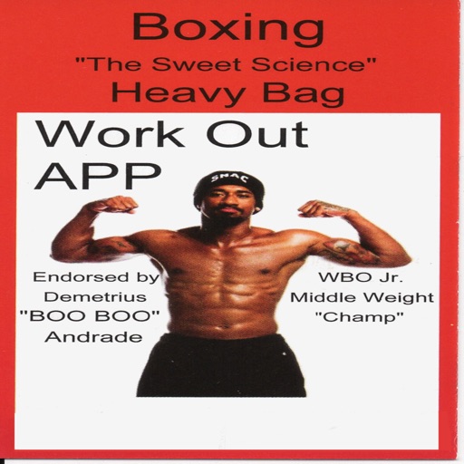 Boxing The Sweet Science