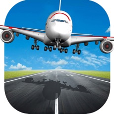 Activities of Transport Plane Landing
