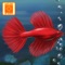 Fish Tycoon Lite