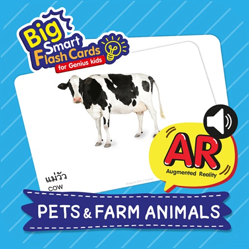 Pets AR 3D