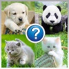 Animals Quiz Mania : Learn Animal Names