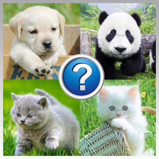 Animals Quiz Mania : Learn Animal Names icon