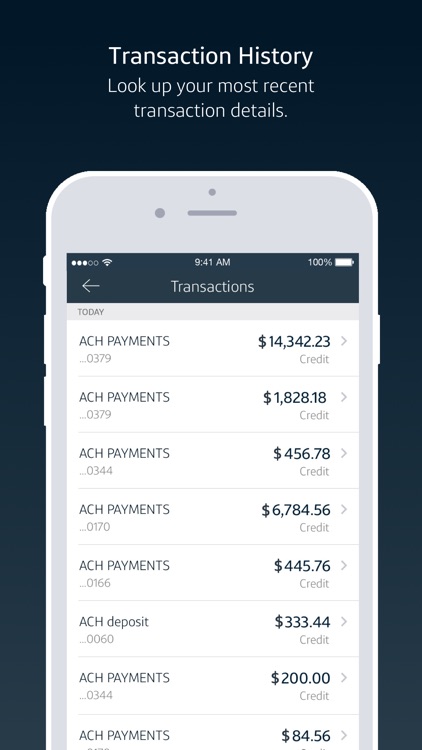 Capital One Intellix® Mobile screenshot-4