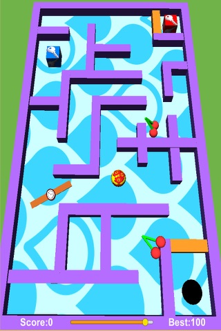 Mini Maze Pro - náhled
