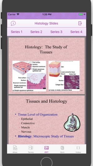 Histology Cell Tissue(圖3)-速報App