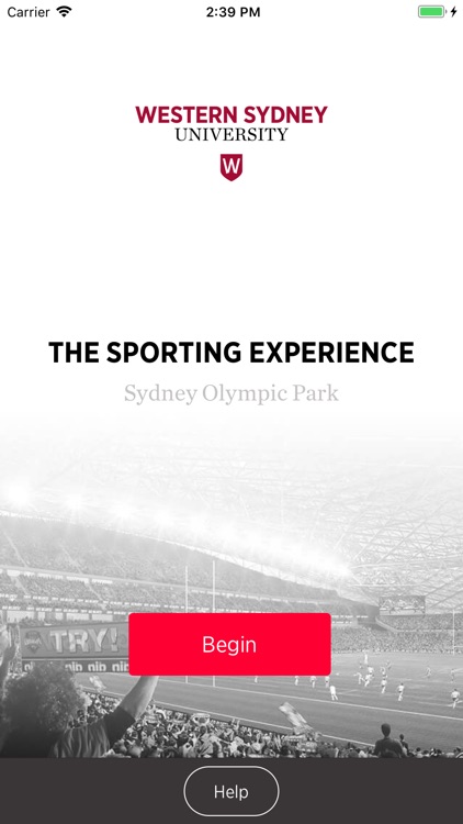 The Sporting Experience