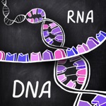 iMolekula：DNA，RNA，蛋白質