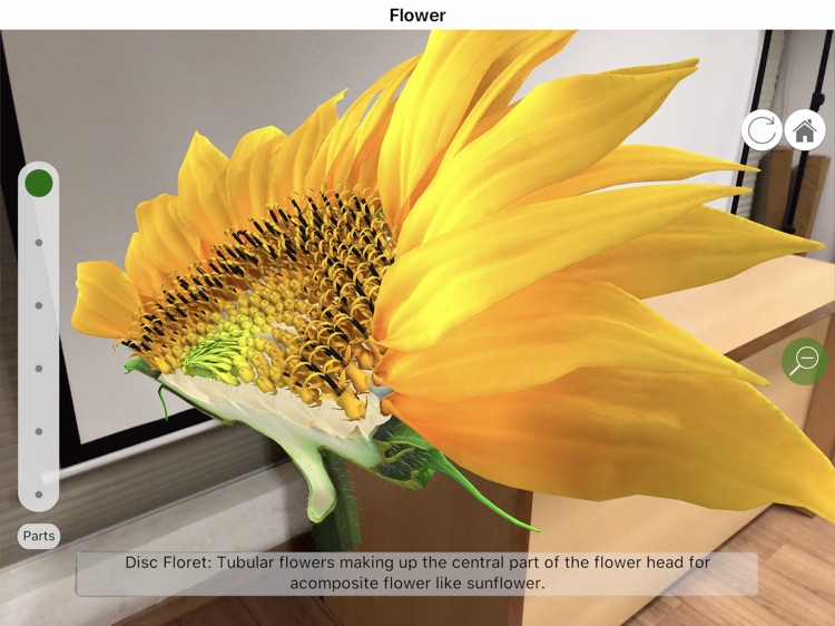 Plantale screenshot-5