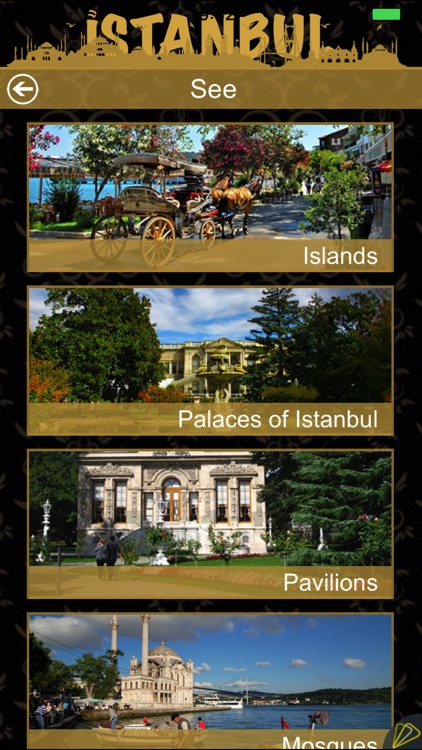 Istanbul City Guide screenshot-3