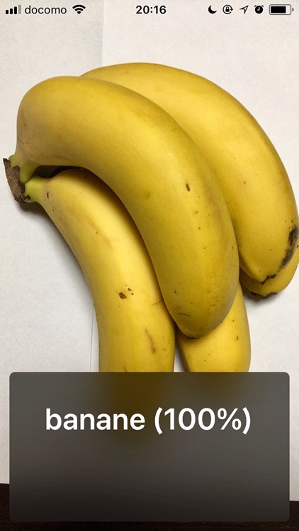 Cam plt - French Talking Cam screenshot-3