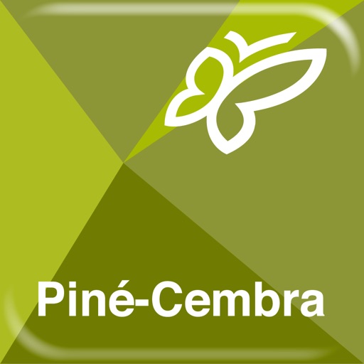 Piné Cembra Travel Guide icon