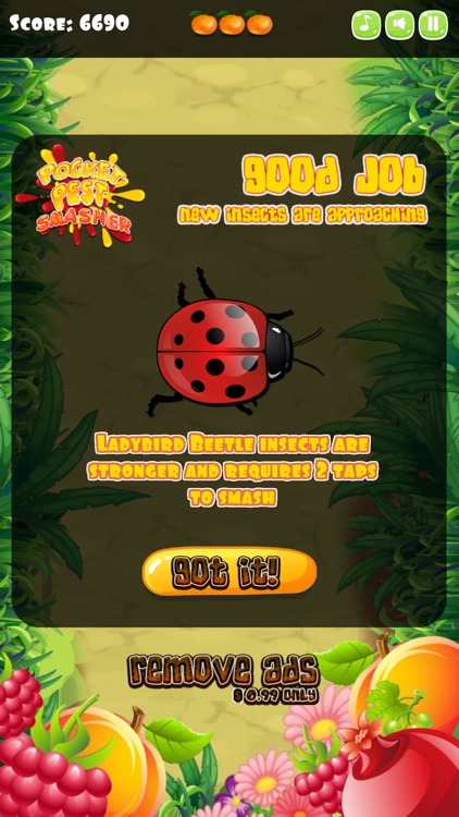 Insect Smasher for Kids screenshot-3