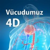 Vucudumuz 4D