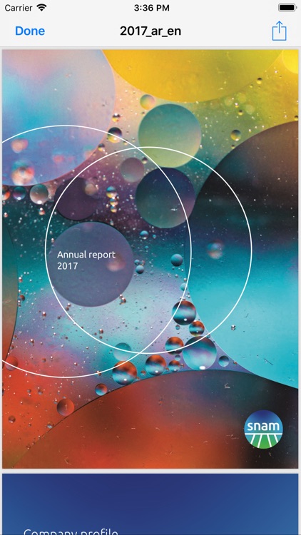 Snam Annual & Interim Reports