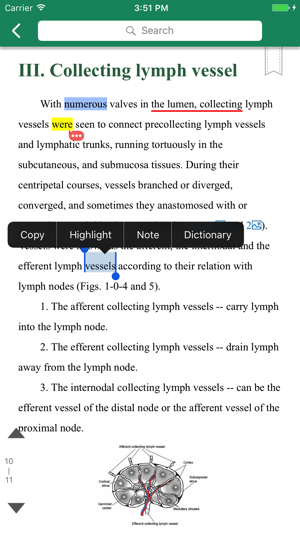 Atlas of lymphatics for iPhone(圖3)-速報App