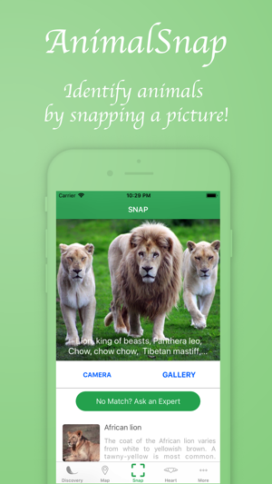 AnimalSnap - Identify Animals(圖1)-速報App