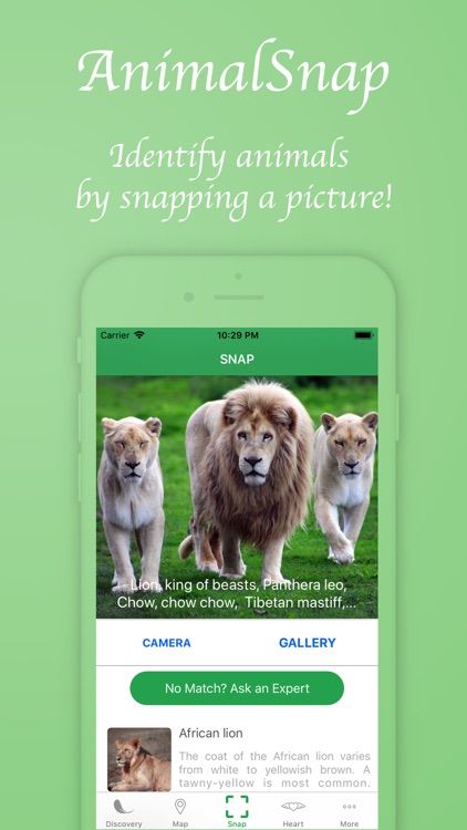 AnimalSnap - Identify Animals