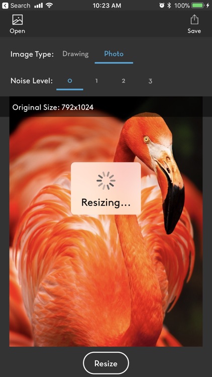 Resize 2x