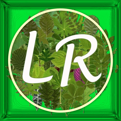 Leaf L/R Touch iOS App