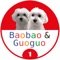 Baobao and Guoguo is an interactive app designed to help young children learn Chinese