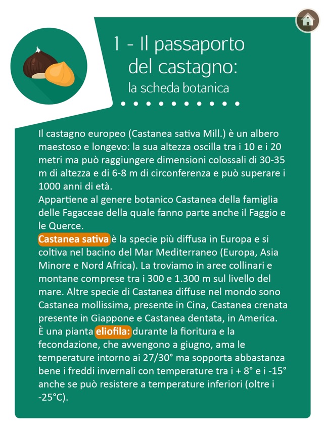 Lady Castagna(圖3)-速報App