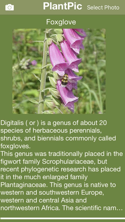 PlantPic-Flower,Plant Identify